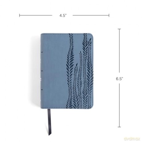 CSB Large Print Compact Reference Bible, Digital Study Edition, Slate LeatherTouch - CSB Bibles by Holman [KSIĄŻKA]