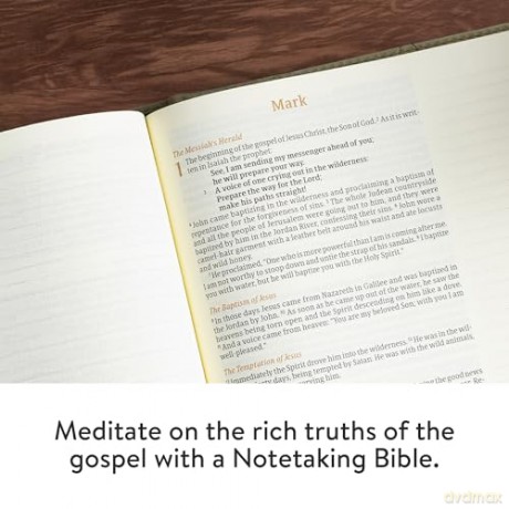 CSB Notetaking Bible, Large Print Edition, Sage Suedesoft LeatherTouch - CSB Bibles by Holman [KSIĄŻKA]