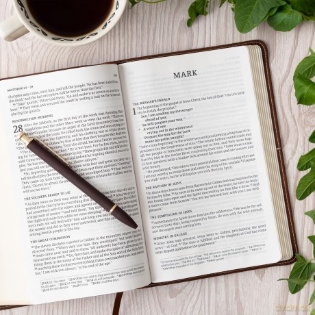 CSB Single-Column Personal Size Bible, Digital Study Edition, Brown LeatherTouch - CSB Bibles by Holman [KSIĄŻKA]