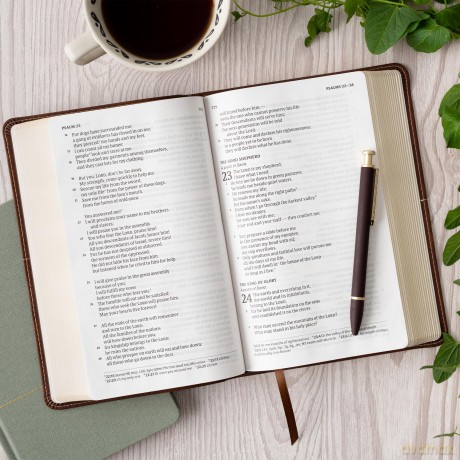 CSB Single-Column Personal Size Bible, Digital Study Edition, Brown LeatherTouch - CSB Bibles by Holman [KSIĄŻKA]