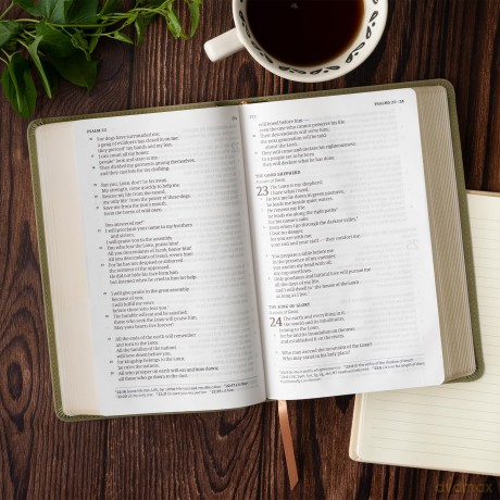 CSB Single-Column Personal Size Bible, Digital Study Edition, Sage SuedeSoft LeatherTouch - CSB Bibles by Holman [KSIĄŻKA]