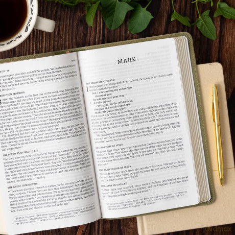 CSB Single-Column Personal Size Bible, Digital Study Edition, Sage SuedeSoft LeatherTouch - CSB Bibles by Holman [KSIĄŻKA]