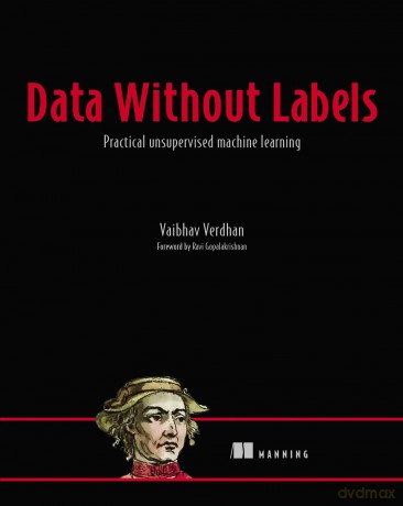 Data Without Labels: Practical Unsupervised Machine Learning - Vaibhav Verdhan [KSIĄŻKA]