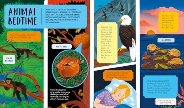 Day and Night: A flip book - two fact books together!: 2 (Kingfisher flip books, 2) - Tracey Turner [KSIĄŻKA]