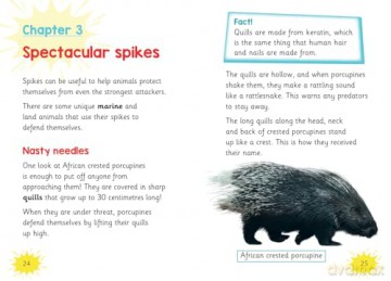 Deadly Defenders: Fluency 3 (Big Cat for Little Wandle Fluency) - Samantha Montgomerie [KSIĄŻKA]