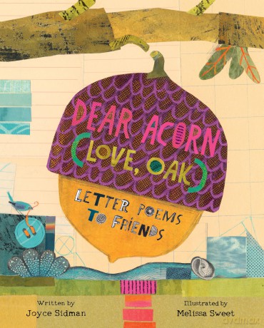 Dear Acorn (Love, Oak): Letter Poems to Friends - Joyce Sidman [KSIĄŻKA]