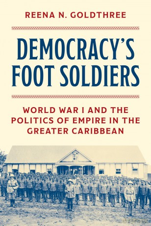 Democracy's Foot Soldiers: World War I and the Politics of Empire in the Greater Caribbean - Reena N. Goldthree [KSIĄŻKA]