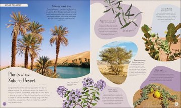 Desert: Journey Through the Hot Sands and Frosty Lands (Earth's Incredible Habitats) - Anita Ganeri [KSIĄŻKA]