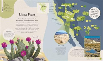 Desert: Journey Through the Hot Sands and Frosty Lands (Earth's Incredible Habitats) - Anita Ganeri [KSIĄŻKA]
