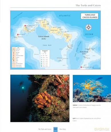 Dive Atlas of the World, Revised and Expanded Edition: An Illustrated Reference to the Best Sites (IMM Lifestyle Books) Wrecks, Walls, Caves, and Blue Holes from the Red Sea to the Great Barrier Reef - Jack Jackson [KSIĄŻKA]