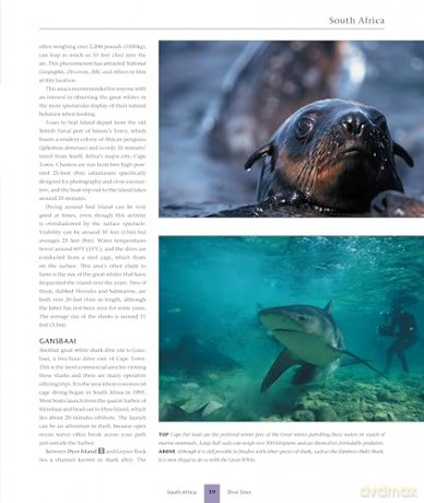 Dive Atlas of the World, Revised and Expanded Edition: An Illustrated Reference to the Best Sites (IMM Lifestyle Books) Wrecks, Walls, Caves, and Blue Holes from the Red Sea to the Great Barrier Reef - Jack Jackson [KSIĄŻKA]