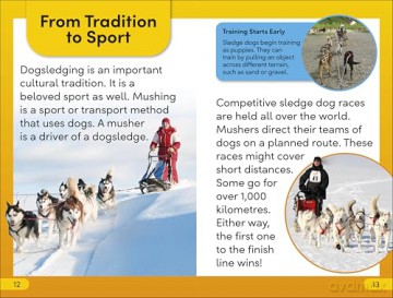 DK Super Readers Level 2 Snow Dogs - Dk [KSIĄŻKA]