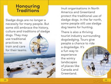 DK Super Readers Level 2 Snow Dogs - Dk [KSIĄŻKA]