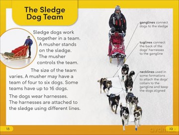DK Super Readers Level 2 Snow Dogs - Dk [KSIĄŻKA]