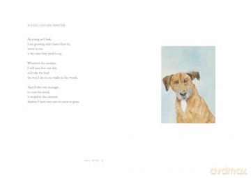 Dog Show - Billy Collins [KSIĄŻKA]