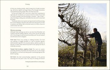 Down to Earth - Monty Don [KSIĄŻKA]