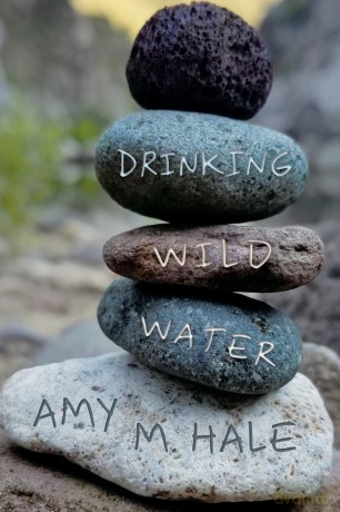 Drinking Wild Water: Essays (Voice in the American West) - Amy M. Hale [KSIĄŻKA]