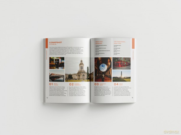 Dublin Travel Guide Book - The No Fuss Guide To Dublin (Travel Friendly) - Robbie Roams [KSIĄŻKA]