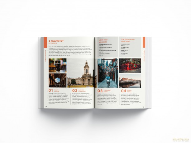 Dublin Travel Guide Book - The No Fuss Guide To Dublin (Travel Friendly) - Robbie Roams [KSIĄŻKA]