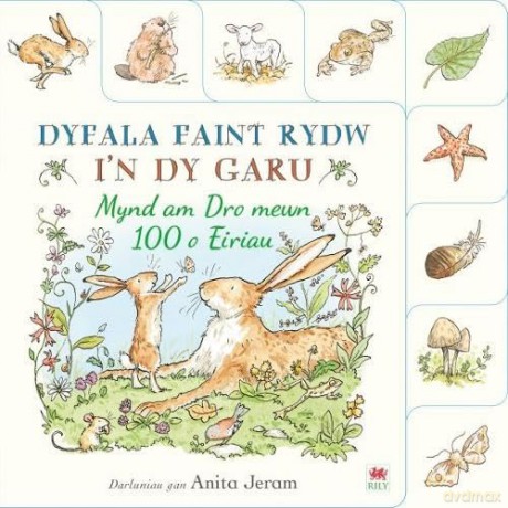 Dyfala Faint Rydw i'n dy Garu: Mynd am Dro mewn 100 o Eiriau - Walker Books [KSIĄŻKA]