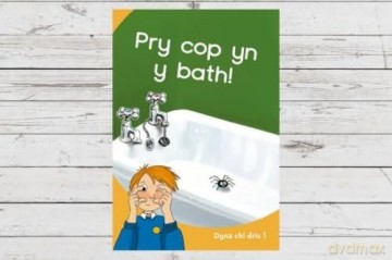 Dyna Chi Dric: Pry Cop yn y Bath - Eirian Lloyd Jones [KSIĄŻKA]