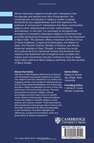 Early Twentieth Century New Black Religious Movements in the United States (Elements in New Religious Movements) - Hills [KSIĄŻKA]