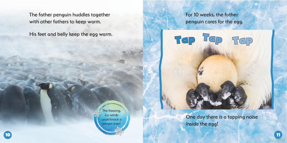 Emperor Penguins (World's Best Animal Dads) - Ruth Owen [KSIĄŻKA]