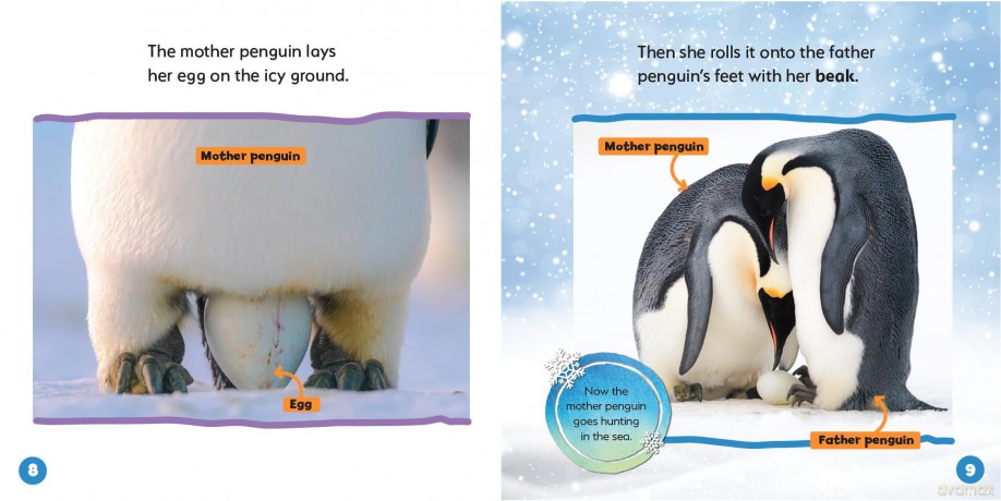 Emperor Penguins (World's Best Animal Dads) - Ruth Owen [KSIĄŻKA]