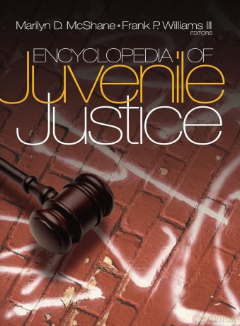Encyclopedia of Juvenile Justice - Marilyn D. McShane [KSIĄŻKA]