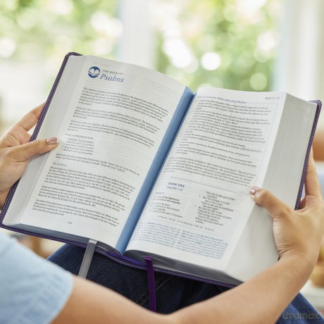 Enduring Word Study Bible: Pastoral Commentary from Every Chapter of the Bible (NKJV, Purple Leathersoft, Red Letter, Comfort Print) - Thomas Nelson [KSIĄŻKA]