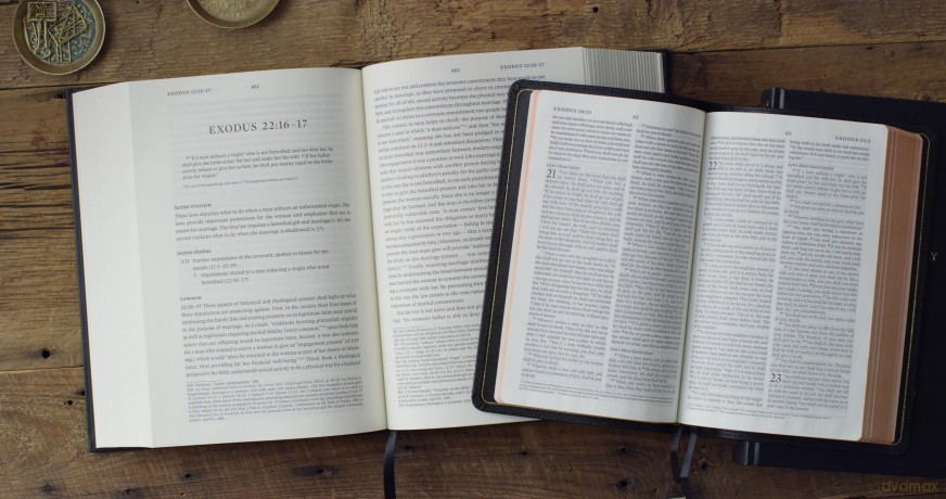 ESV Expository Commentary: Genesis-Numbers (Volume 1) - Christine Palmer [KSIĄŻKA]