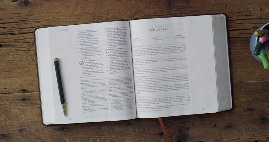 ESV Journaling Study Bible, Artist Series (Hardcover, Joshua Noom, The Lion and the Lamb): English Standard Version, Cloth Over Board, Joshua Noom, The Lion and the Lamb - Esv [KSIĄŻKA]