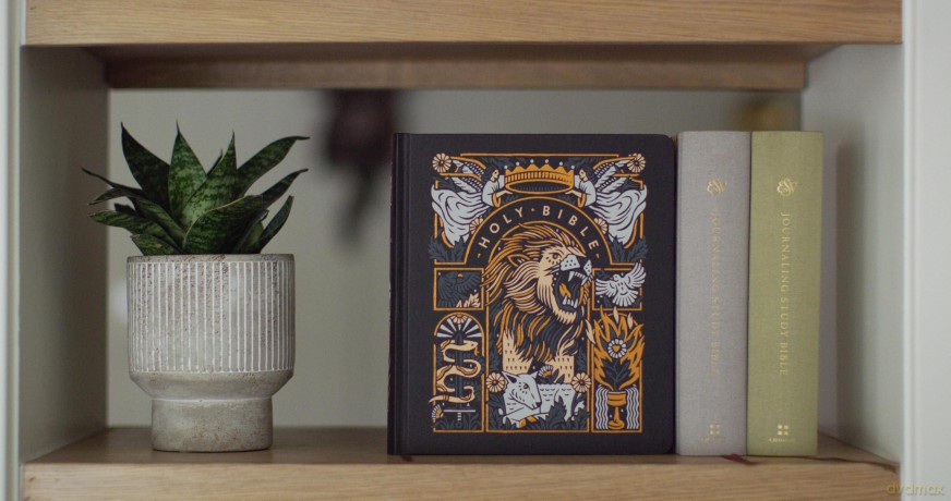 ESV Journaling Study Bible, Artist Series (Hardcover, Joshua Noom, The Lion and the Lamb): English Standard Version, Cloth Over Board, Joshua Noom, The Lion and the Lamb - Esv [KSIĄŻKA]