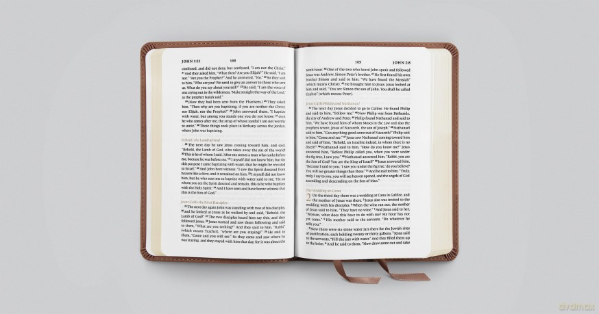 ESV New Testament with Psalms and Proverbs (TruTone, Chestnut): English Standard Version, Chestnut, Trutone, New Testament With Psalms and Proverbs - Esv [KSIĄŻKA]