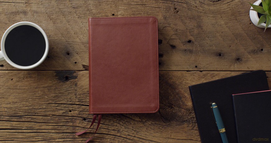 ESV New Testament with Psalms and Proverbs (TruTone, Chestnut): English Standard Version, Chestnut, Trutone, New Testament With Psalms and Proverbs - Esv [KSIĄŻKA]