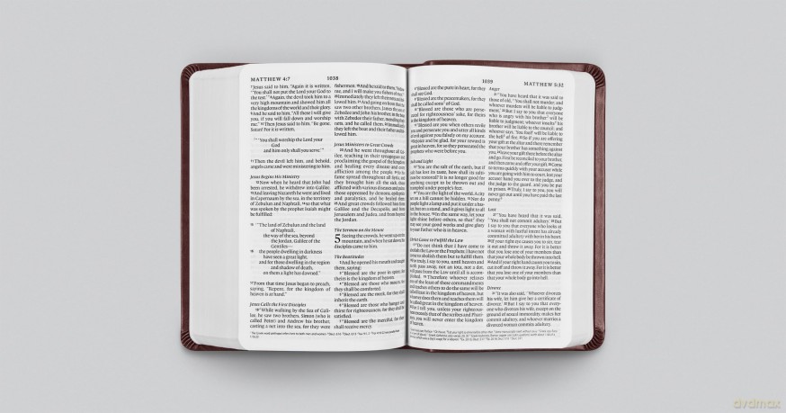 ESV Value Large Print Compact Bible (TruTone, Mahogany, Border Design) - Esv [KSIĄŻKA]