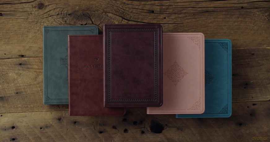 ESV Value Large Print Compact Bible (TruTone, Mahogany, Border Design) - Esv [KSIĄŻKA]