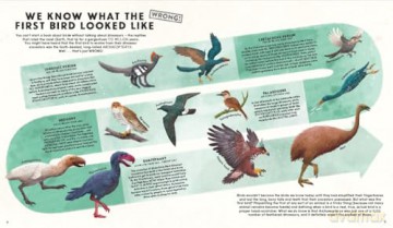 Everything You Know About Birds is Wrong! - Dr Nick Crumpton [KSIĄŻKA]