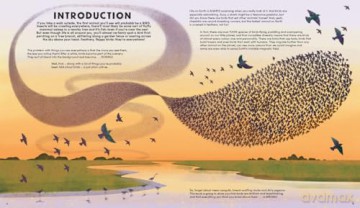 Everything You Know About Birds is Wrong! - Dr Nick Crumpton [KSIĄŻKA]
