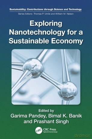 Exploring Nanotechnology for a Sustainable Economy (Sustainability: Contributions through Science and Technology) - Bimal Krishna Banik [KSIĄŻKA]