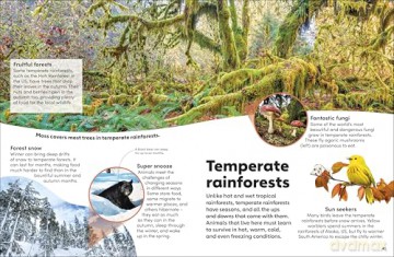 Eyewonder Rainforest: Open Your Eyes to a World of Discovery - Dk [KSIĄŻKA]