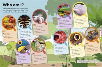 Eyewonder Rainforest: Open Your Eyes to a World of Discovery - Dk [KSIĄŻKA]