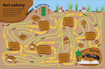 Eyewonder Rainforest: Open Your Eyes to a World of Discovery - Dk [KSIĄŻKA]