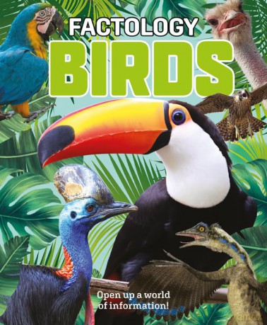 Factology: Birds: Open Up a World of Information! - Factology [KSIĄŻKA]