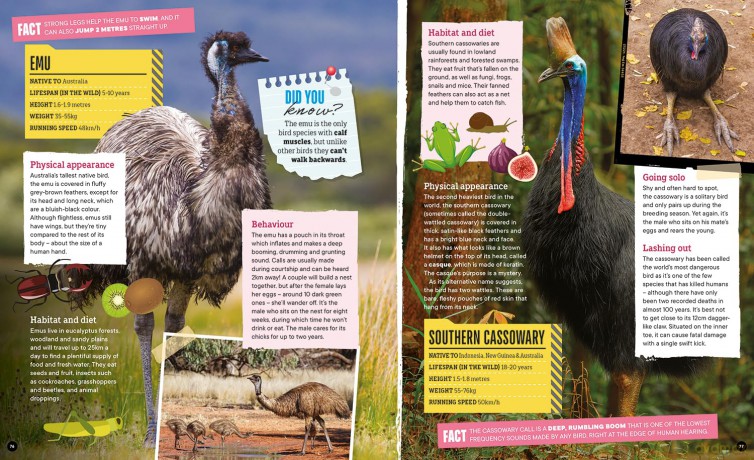 Factology: Birds: Open Up a World of Information! - Factology [KSIĄŻKA]