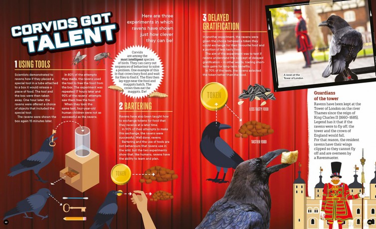Factology: Birds: Open Up a World of Information! - Factology [KSIĄŻKA]