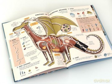 Facts and Rumors About Dragons - Nikola Kucharska [KSIĄŻKA]