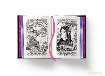 Fairy Tale Retellings, Volume I: Books 1 and 2 in the Dark Fae Romance Adult Fantasy Novella Series - Scarlett St. Clair [KSIĄŻKA]