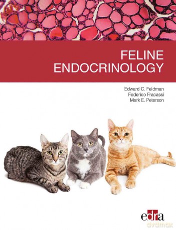 Feline endocrinology - Edward C. Feldman [KSIĄŻKA]