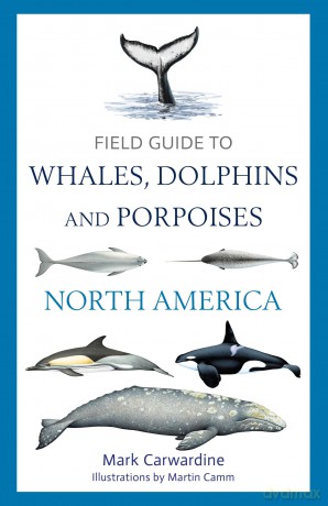 Field Guide to Whales, Dolphins and Porpoises of North America (Bloomsbury Naturalist) - Mark Carwardine [KSIĄŻKA]